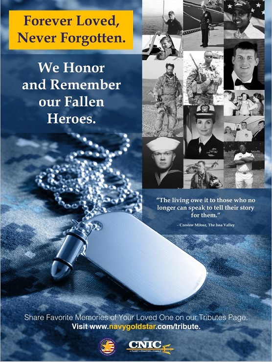 Navy Gold Star Program